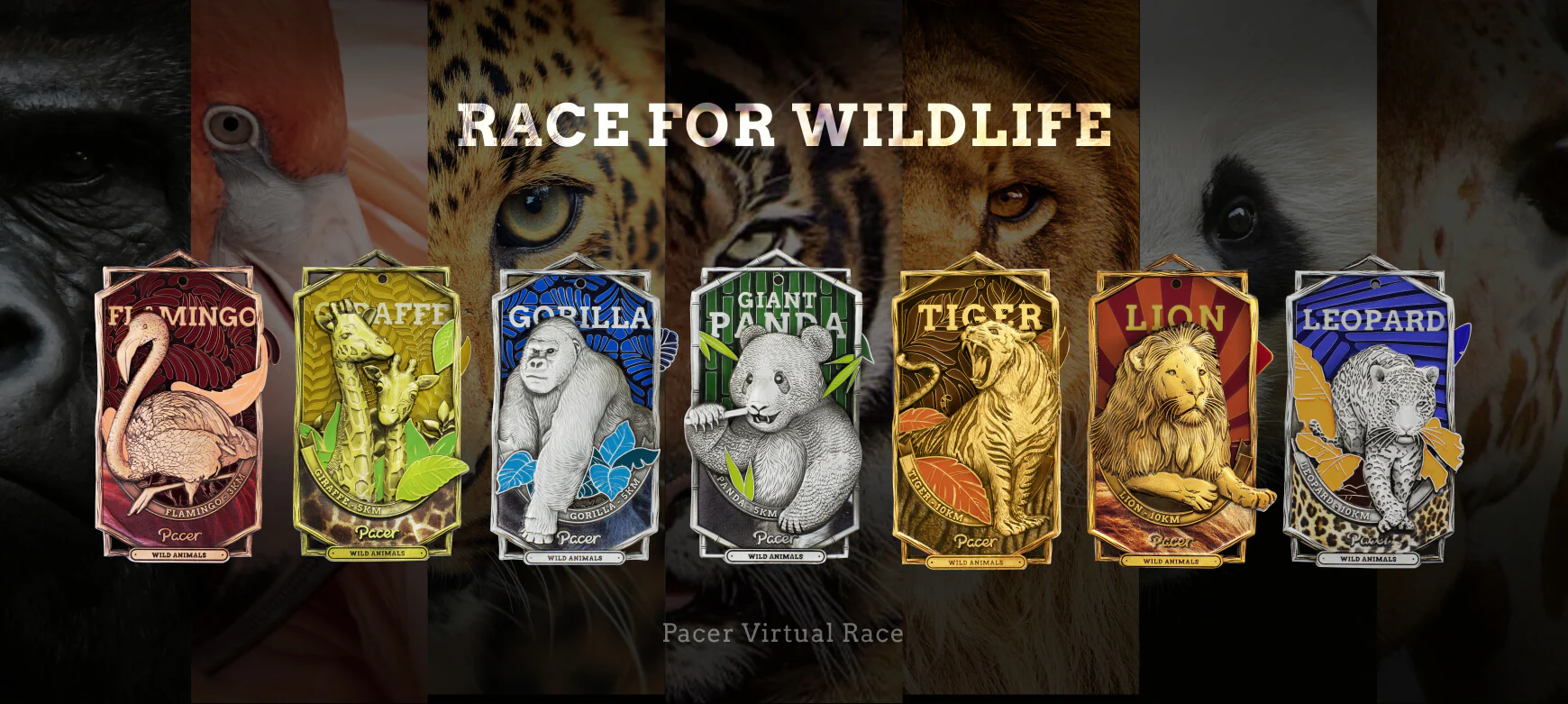 Race Anywhere, Earn Real Rewards